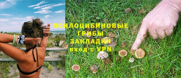 амф Михайловка